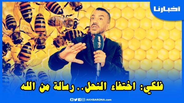 فلكي يكشف أسباب اختفاء النحل ويؤكد أنها رسالة من الله.. راجعوا أنفسكم